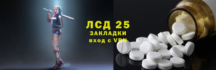 гашик Новокубанск