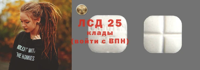 прущие крисы Новодвинск