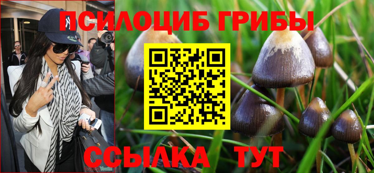 Галлюциногенные грибы Psilocybine cubensis  Вход с VPN  Галлюциногенные грибы ЛСД  Волгоград 