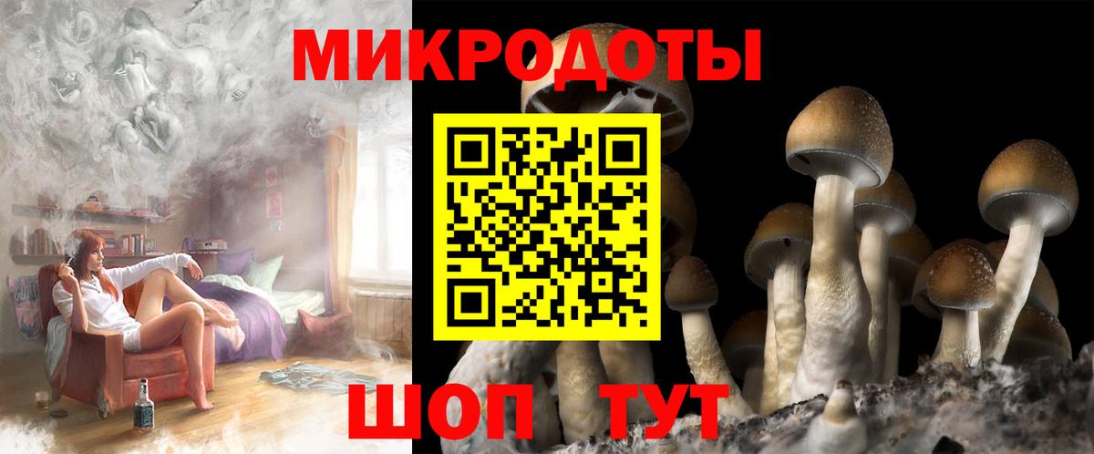 Псилоцибиновые грибы MAGIC MUSHROOMS Волгоград